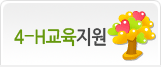 4-H교육지원